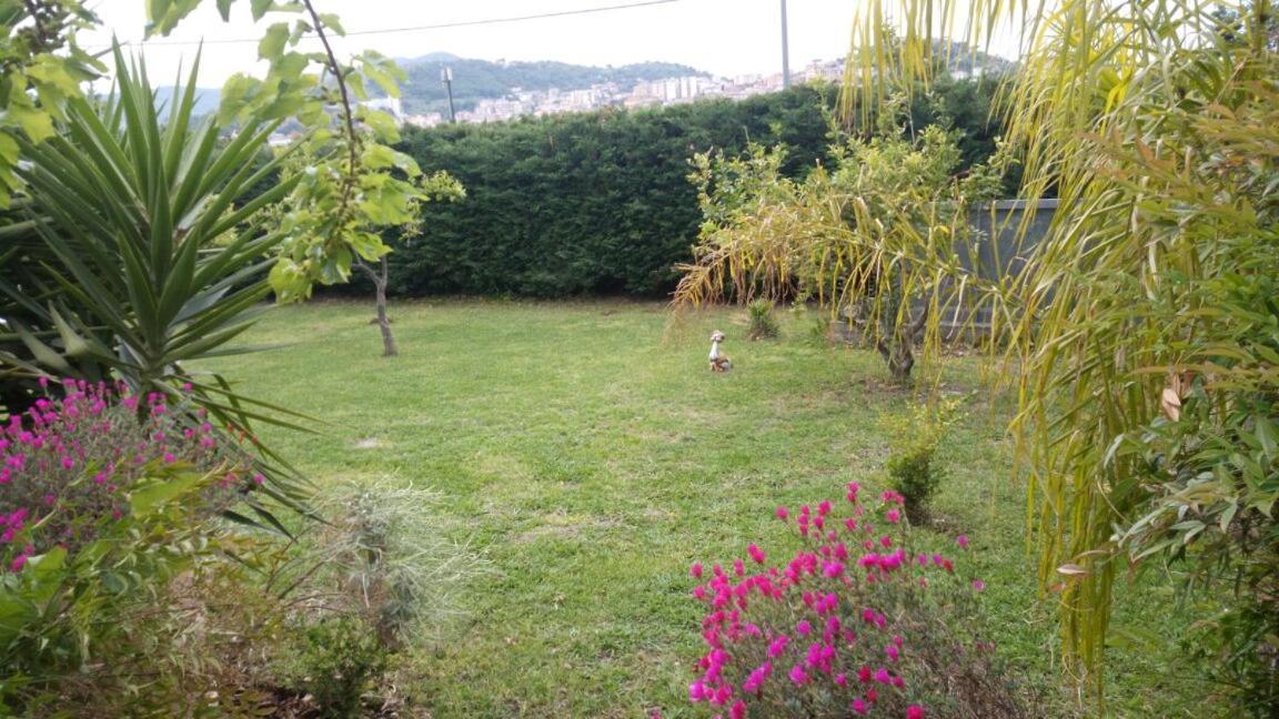 Costa Blu Bed & Breakfast Agropoli Bagian luar foto